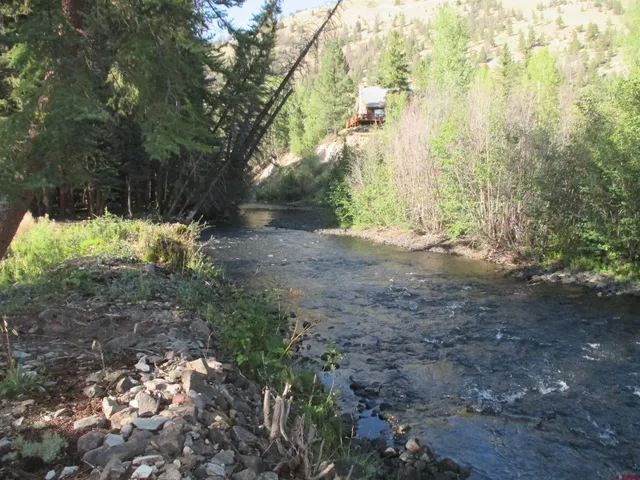 a view of dirt yard with a trees