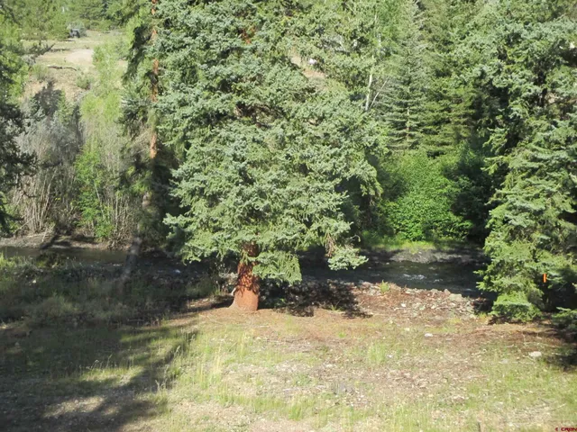 a view of a yard with plants and trees