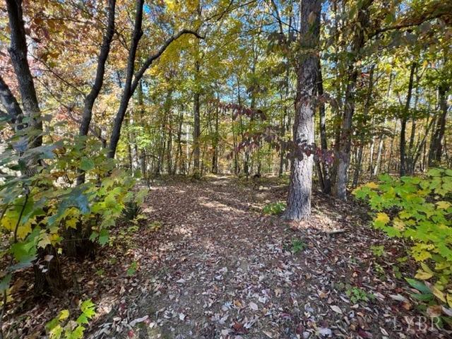 7338 Red House Road Appomattox, VA 24522 - Photo 15 of 28 a view of outdoor space and trees