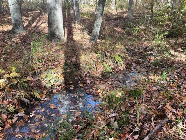 7338 Red House Road Appomattox, VA 24522 - Photo 16 of 28 a view of a plants of a tree