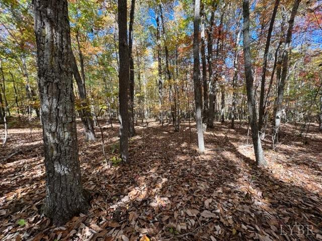 7338 Red House Road Appomattox, VA 24522 - Photo 22 of 28 a big yard with lots of green space and trees