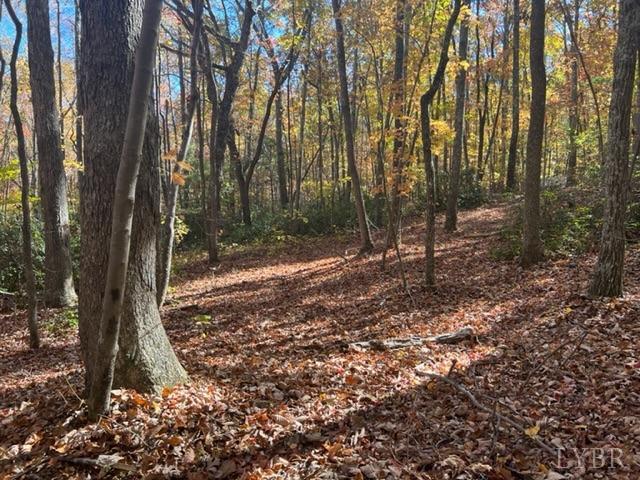 7338 Red House Road Appomattox, VA 24522 - Photo 23 of 28 a view of outdoor space with trees