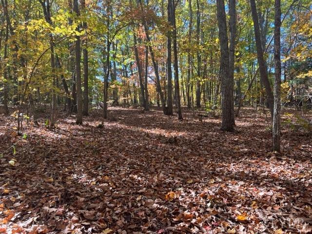 7338 Red House Road Appomattox, VA 24522 - Photo 24 of 28 a view of a forest with trees