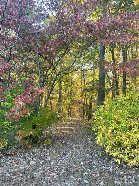 7338 Red House Road Appomattox, VA 24522 - Photo 27 of 28 a big yard with lots of green space and a building