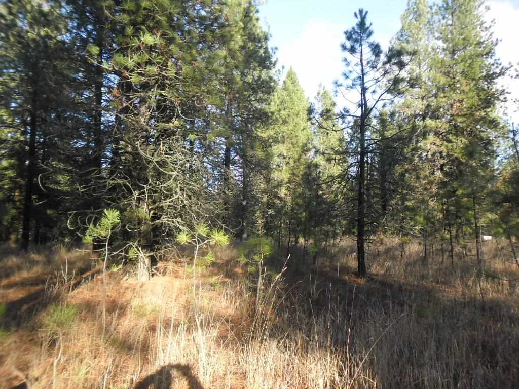 3417 East Oregon Road Elk, WA 99009 - Photo 16 of 20