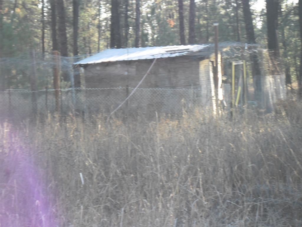 3417 East Oregon Road Elk, WA 99009 - Photo 19 of 20
