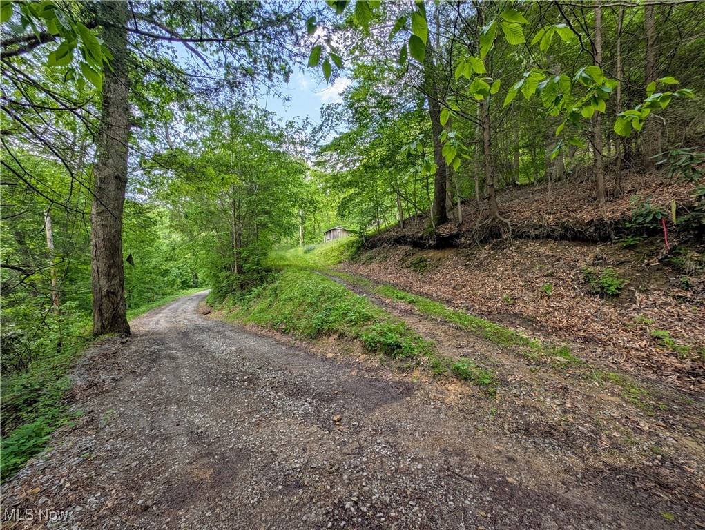 179 Little Beechy Ridge Road Procious, WV 25164 - Photo 10 of 17 Gallery Image 10
