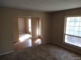 2090 Dorman Road Festus, MO 63028 - Photo 4 of 12 Gallery Image 4