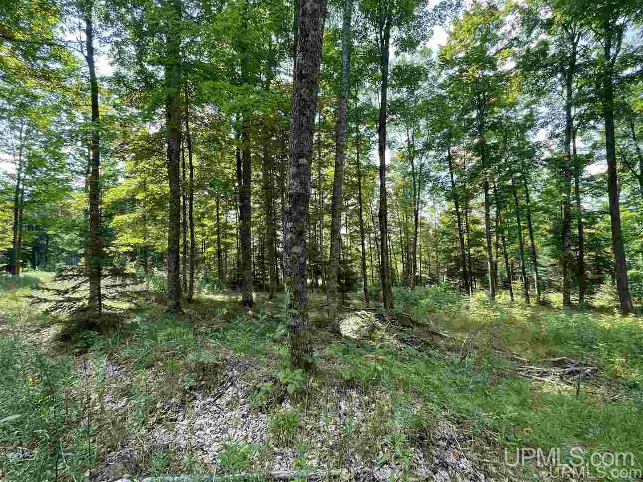 Tbd Sand Road, Unit 2 Powers, MI 49874 - Photo 13 of 38