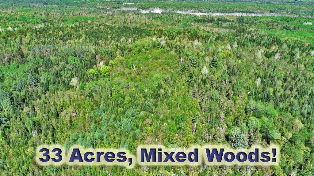 3157 Military Road Haynesville, ME 04497 - Photo 4 of 47 wood-land-behind-home