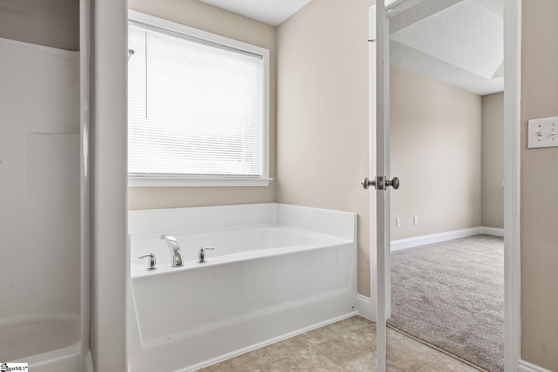 101 Tigris Way Greenville, SC 29607 - Photo 20 of 41