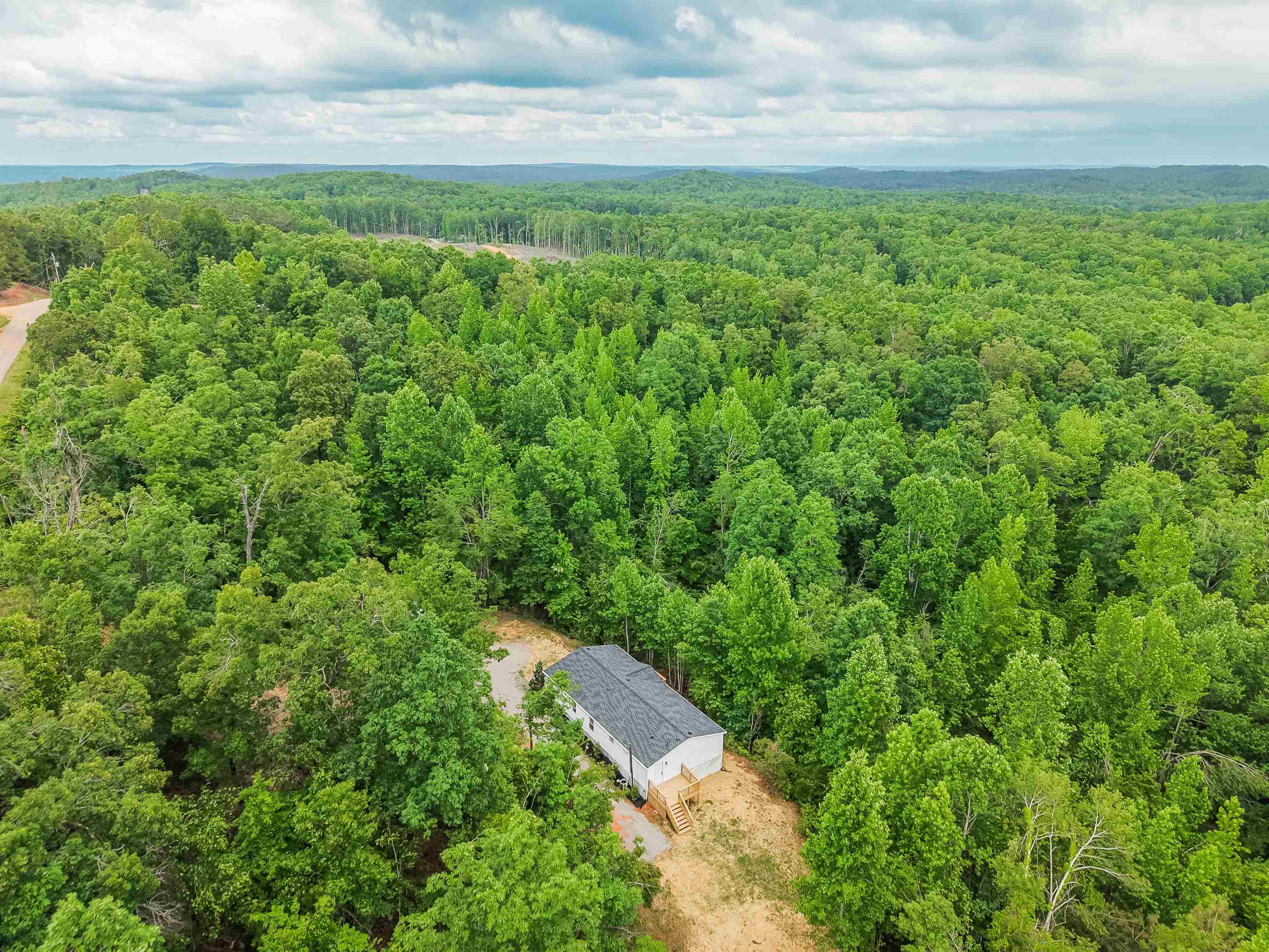 890 Burks Road Savannah, TN 38372 - Photo 35 of 40 a view of a yard with an outdoor space
