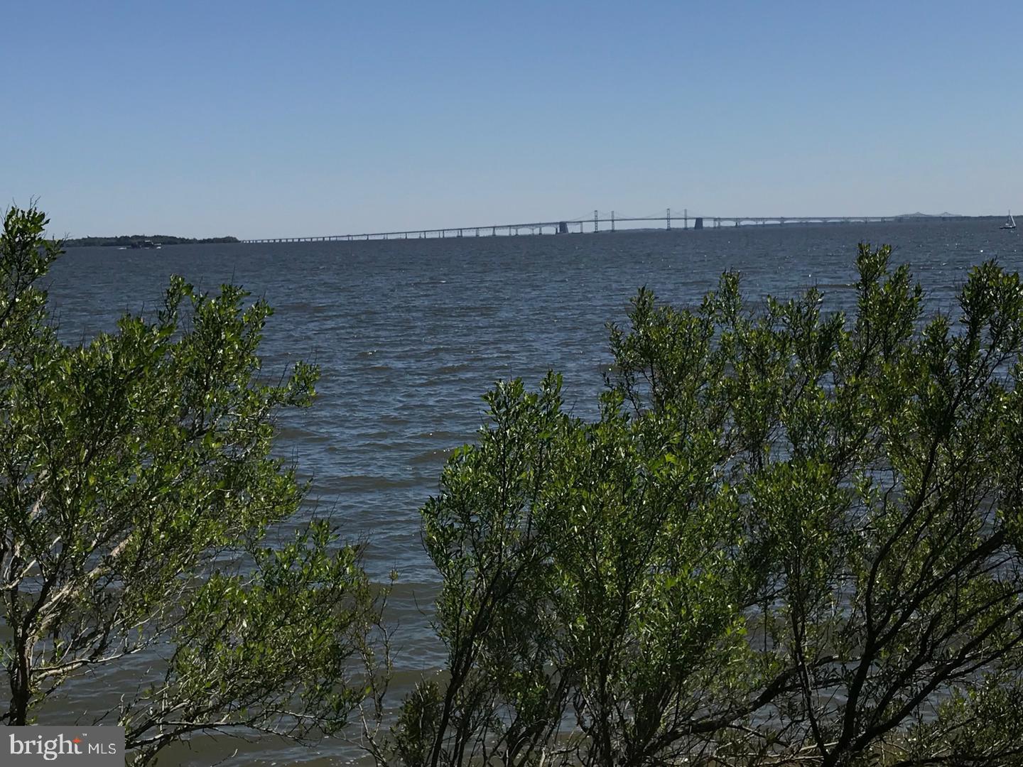 1005 Old Bay Ridge Road Annapolis, MD 21403 - Photo 49 of 56 Did we mention the view?