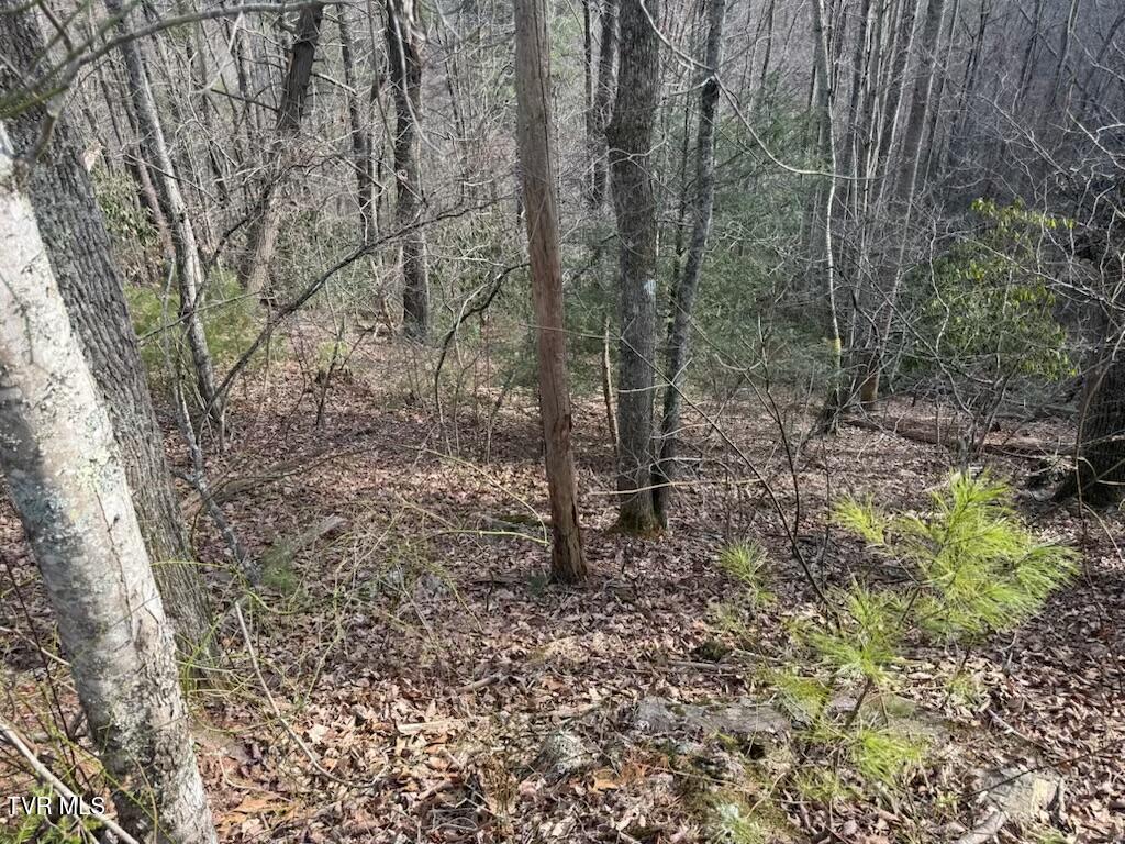 Tbd Banjo Ridge Road, Unit 39 Butler, TN 37640 - Photo 4 of 6 banjo ridge lot 39 4