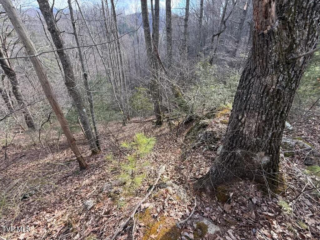 Tbd Banjo Ridge Road, Unit 39 Butler, TN 37640 - Photo 5 of 6 Banjo Ridge lot 39 7