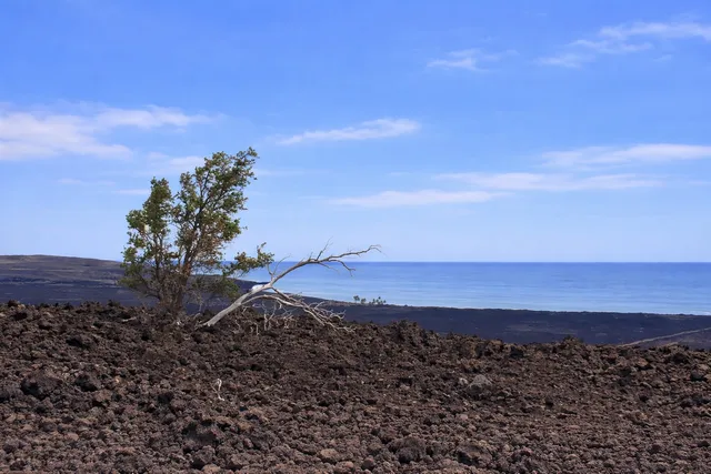 $48,000 | 12 Prince Kuhio Boulevard, Ocean View, HI 96704