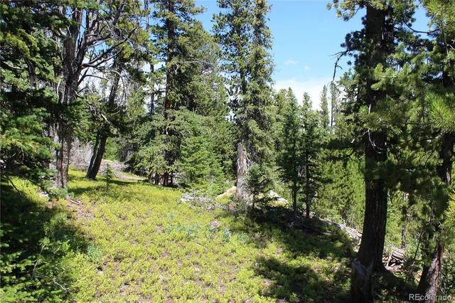 a backyard of a house with a tree
