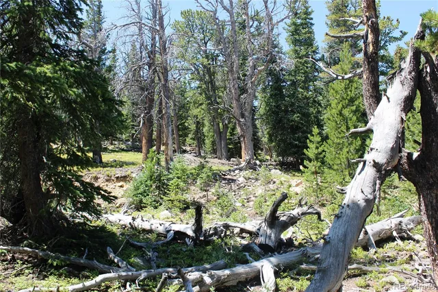 a view of an outdoor space