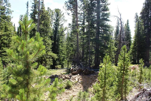 a view of a garden with trees