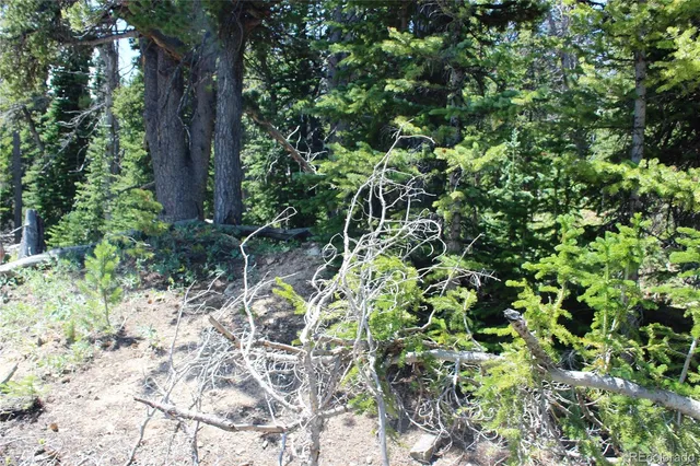 a view of a garden with a tree