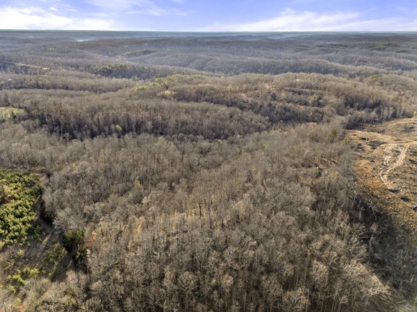 3778 Highway 100 Centerville, TN 37033 - Photo 57 of 59 a view of beach and ocean