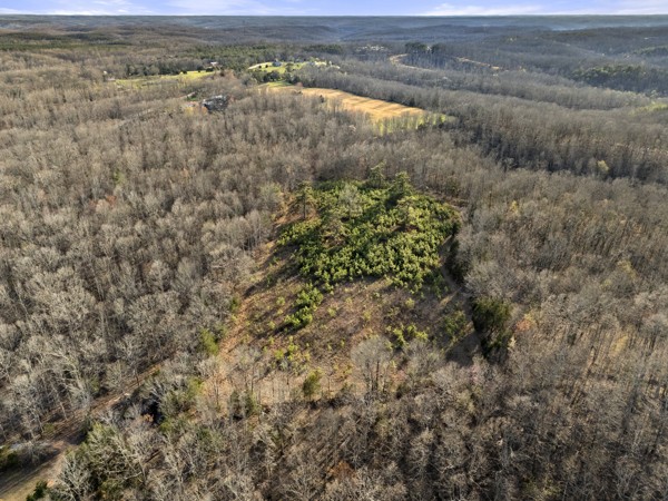 3778 Highway 100 Centerville, TN 37033 - Photo 58 of 59