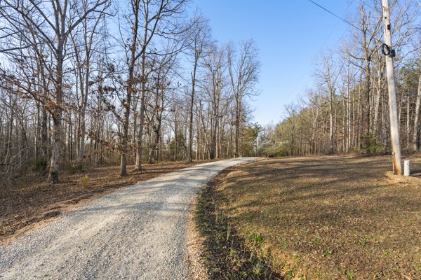 3778 Highway 100 Centerville, TN 37033 - Photo 6 of 59 a view of dirt yard with trees