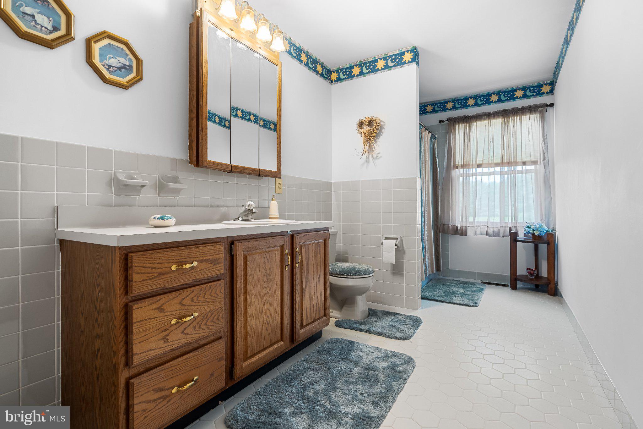 160 Congo-Niantic Road Barto, PA 19504 - Photo 53 of 84 Charming bathroom with vintage flair.