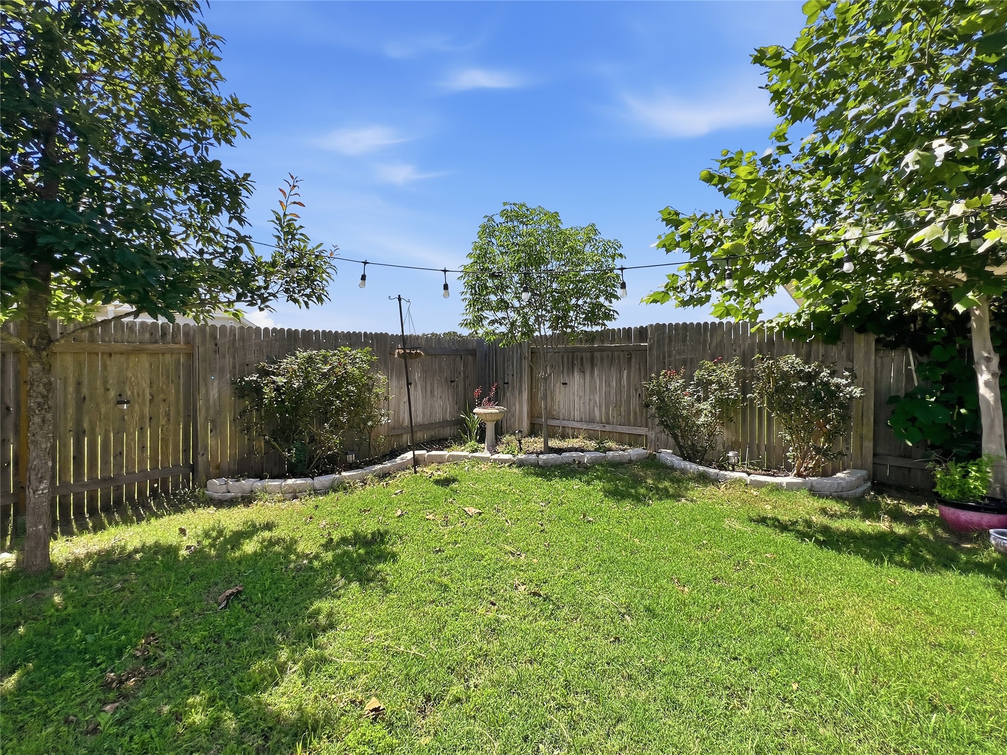 309 Gaida Loop Georgetown, TX 78628 - Photo 25 of 28 A well-maintained backyard oasis with fruit trees and grape vines.