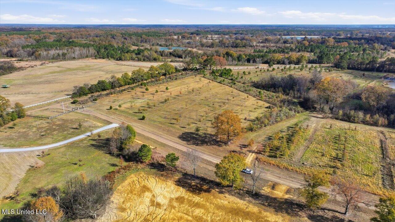 8 Windermere Boulevard Madison, MS 39110 - Photo 12 of 39 11-0008 Windermere Blvd _ Home Tours MS