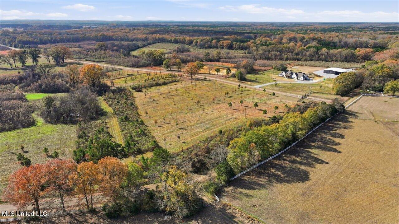 8 Windermere Boulevard Madison, MS 39110 - Photo 19 of 39 18-0008 Windermere Blvd _ Home Tours MS