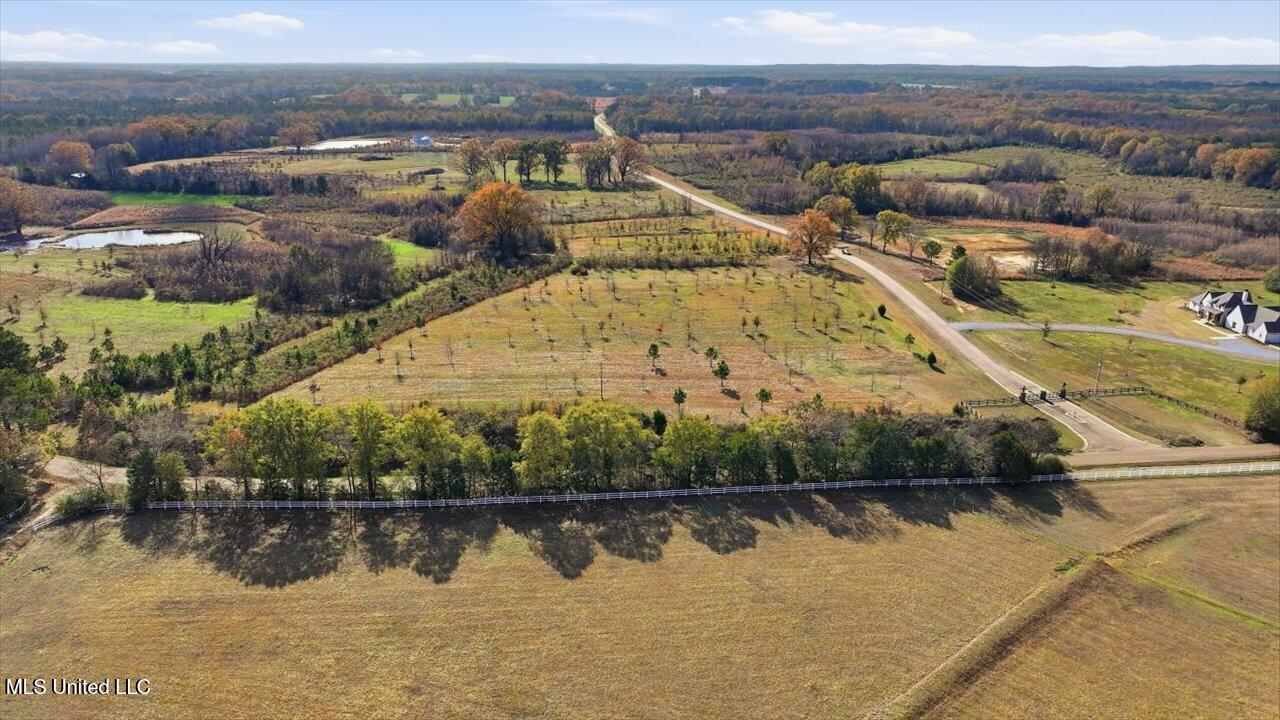 8 Windermere Boulevard Madison, MS 39110 - Photo 20 of 39 19-0008 Windermere Blvd _ Home Tours MS