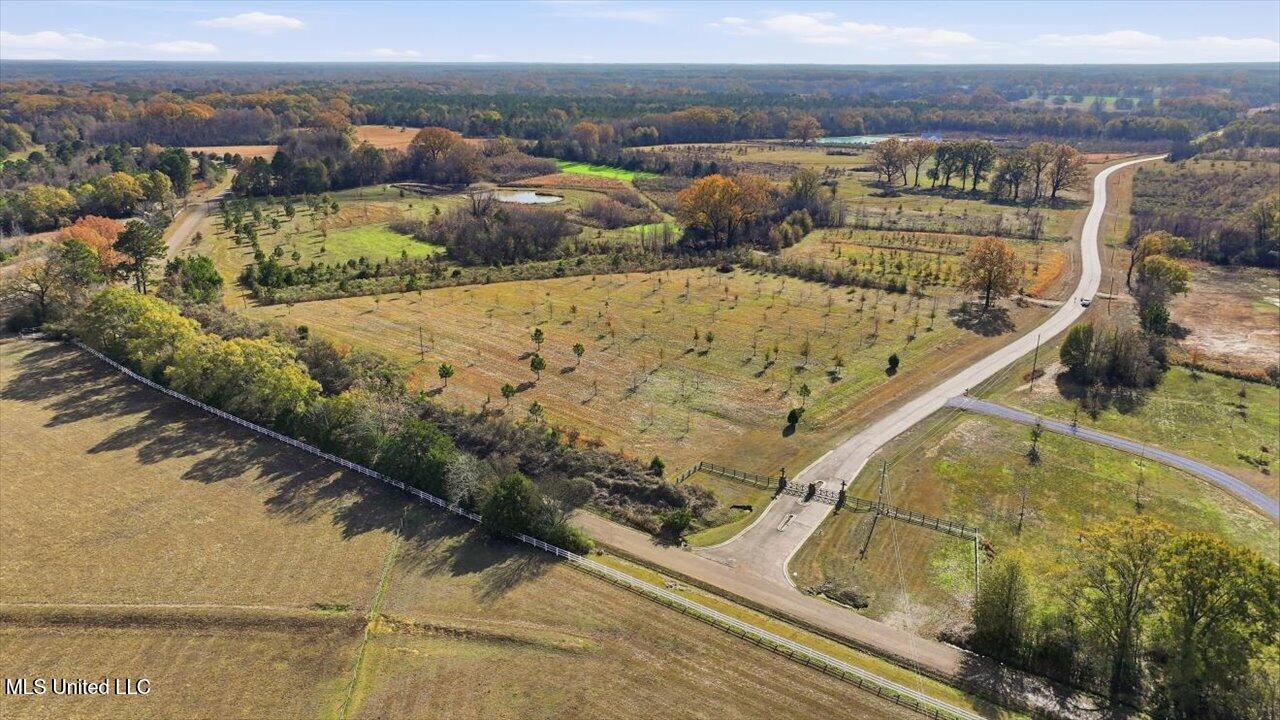 8 Windermere Boulevard Madison, MS 39110 - Photo 21 of 39 20-0008 Windermere Blvd _ Home Tours MS