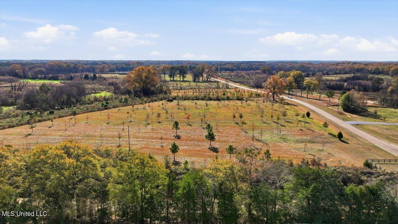 8 Windermere Boulevard Madison, MS 39110 - Photo 23 of 39 22-0008 Windermere Blvd _ Home Tours MS