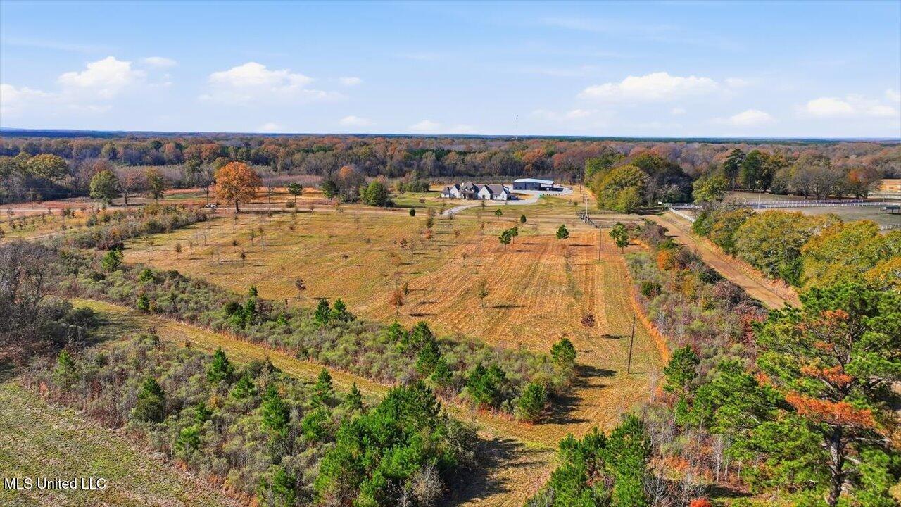 8 Windermere Boulevard Madison, MS 39110 - Photo 26 of 39 25-0008 Windermere Blvd _ Home Tours MS