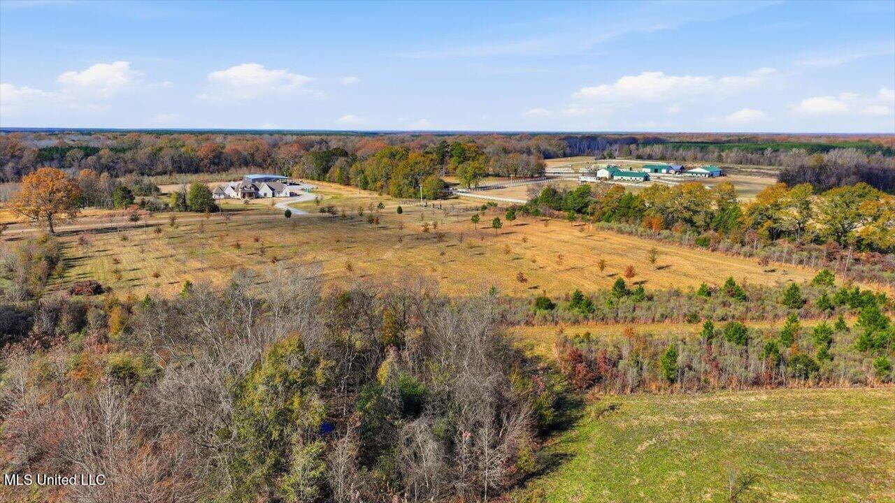 8 Windermere Boulevard Madison, MS 39110 - Photo 27 of 39 26-0008 Windermere Blvd _ Home Tours MS