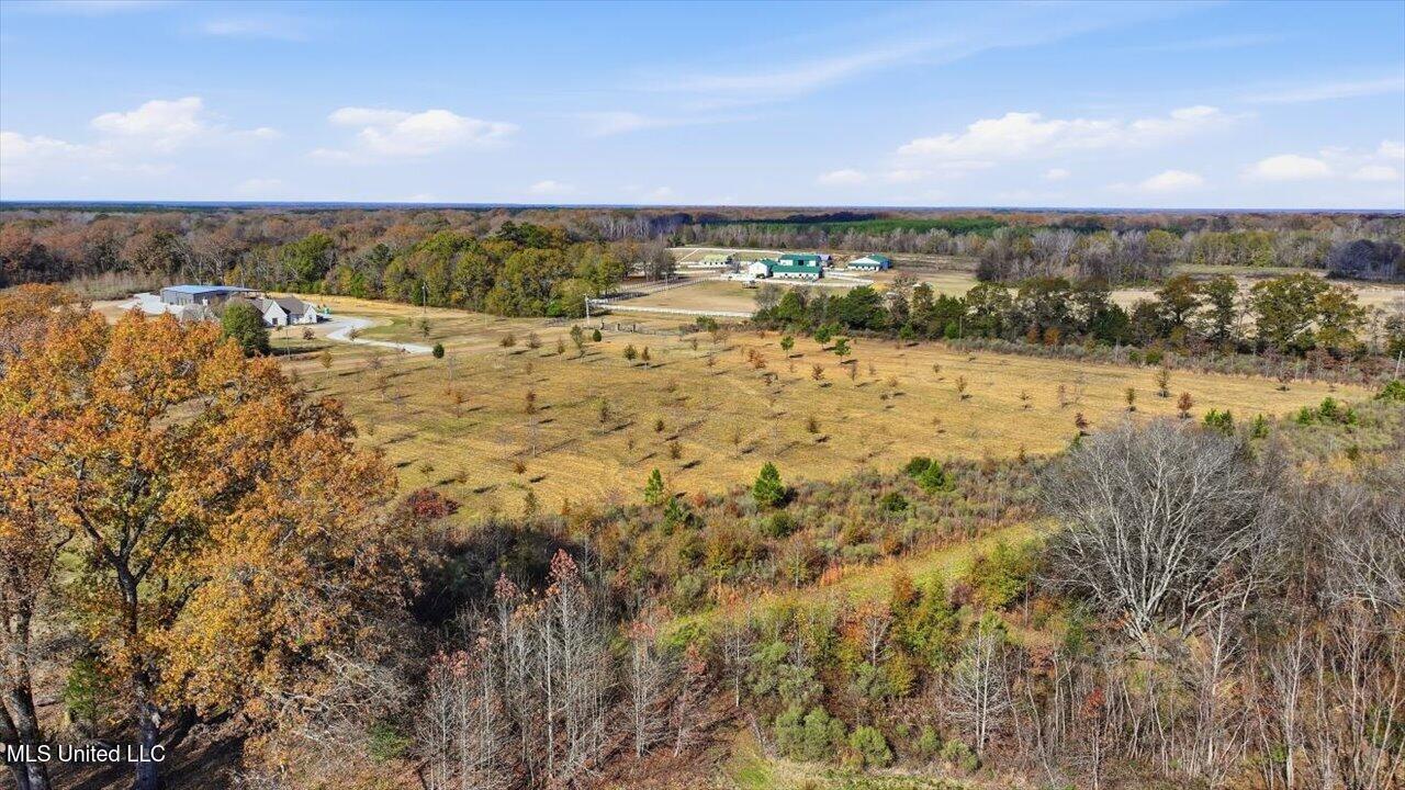 8 Windermere Boulevard Madison, MS 39110 - Photo 28 of 39 27-0008 Windermere Blvd _ Home Tours MS