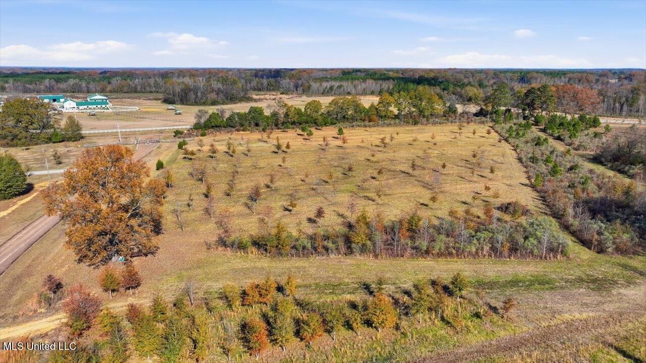 8 Windermere Boulevard Madison, MS 39110 - Photo 30 of 39 29-0008 Windermere Blvd _ Home Tours MS