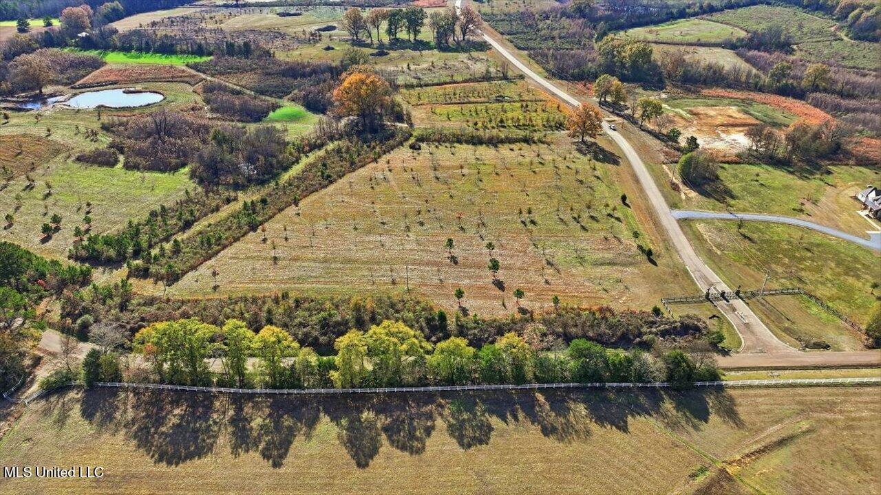 8 Windermere Boulevard Madison, MS 39110 - Photo 3 of 39 02-0008 Windermere Blvd _ Home Tours MS