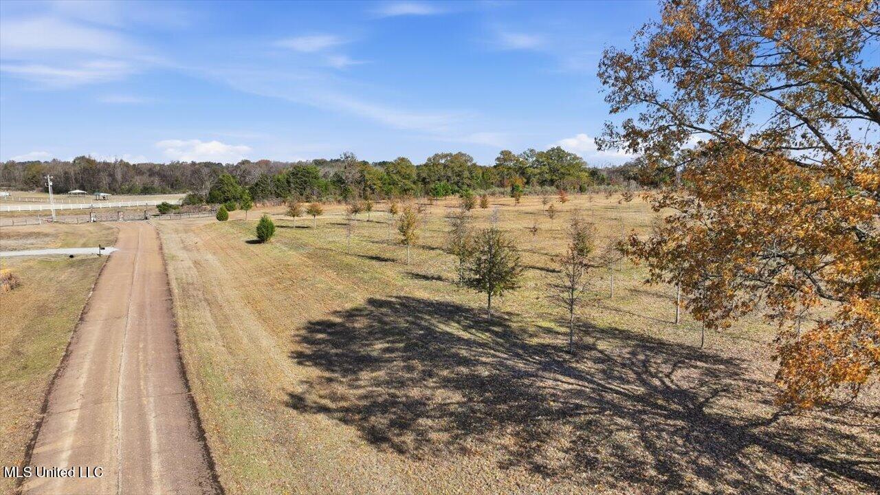 8 Windermere Boulevard Madison, MS 39110 - Photo 33 of 39 32-0008 Windermere Blvd _ Home Tours MS