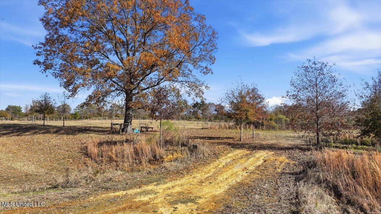 8 Windermere Boulevard Madison, MS 39110 - Photo 34 of 39 33-0008 Windermere Blvd _ Home Tours MS