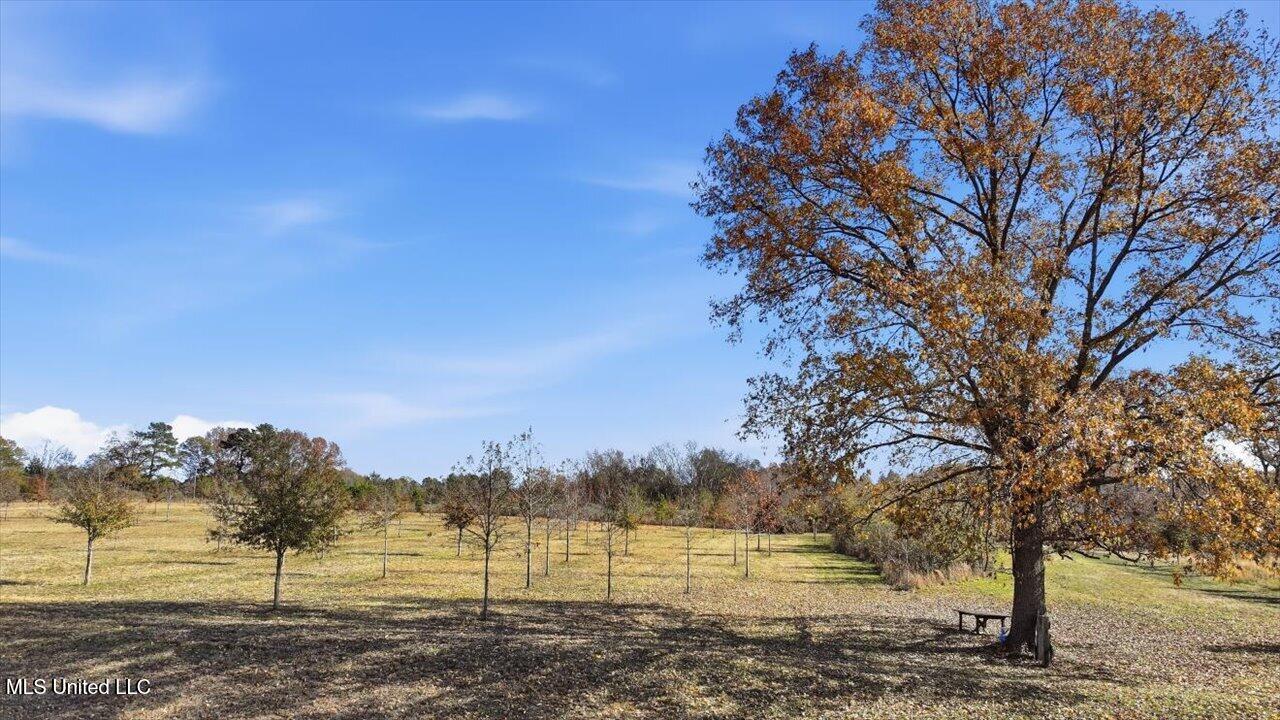 8 Windermere Boulevard Madison, MS 39110 - Photo 36 of 39 35-0008 Windermere Blvd _ Home Tours MS