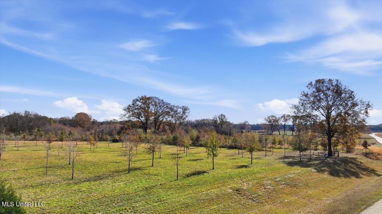 8 Windermere Boulevard Madison, MS 39110 - Photo 37 of 39 36-0008 Windermere Blvd _ Home Tours MS