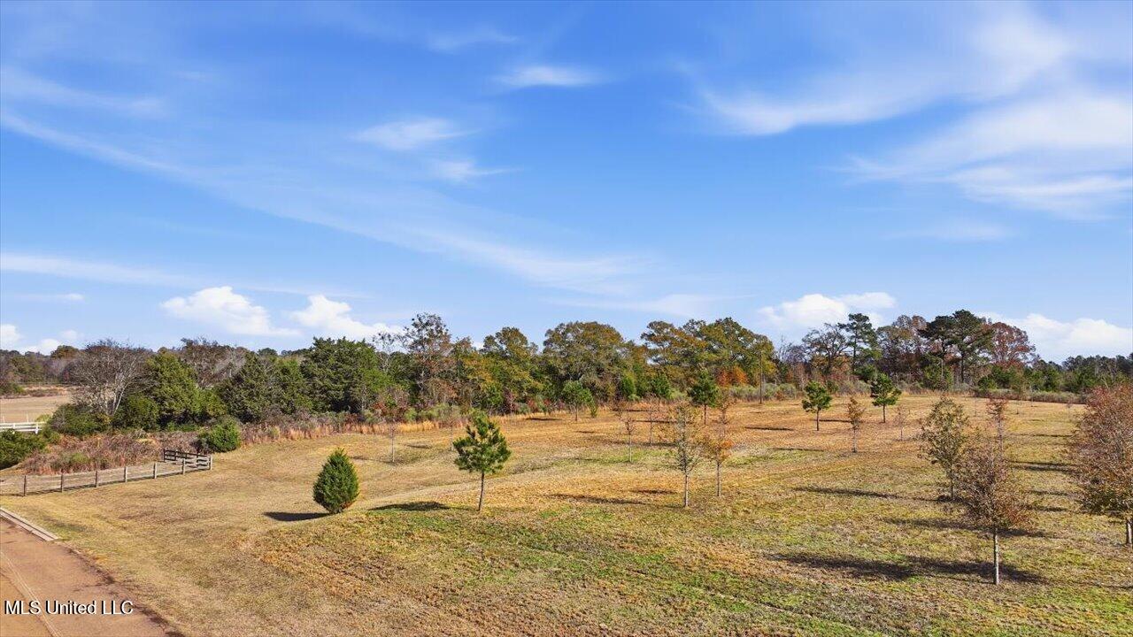 8 Windermere Boulevard Madison, MS 39110 - Photo 38 of 39 37-0008 Windermere Blvd _ Home Tours MS