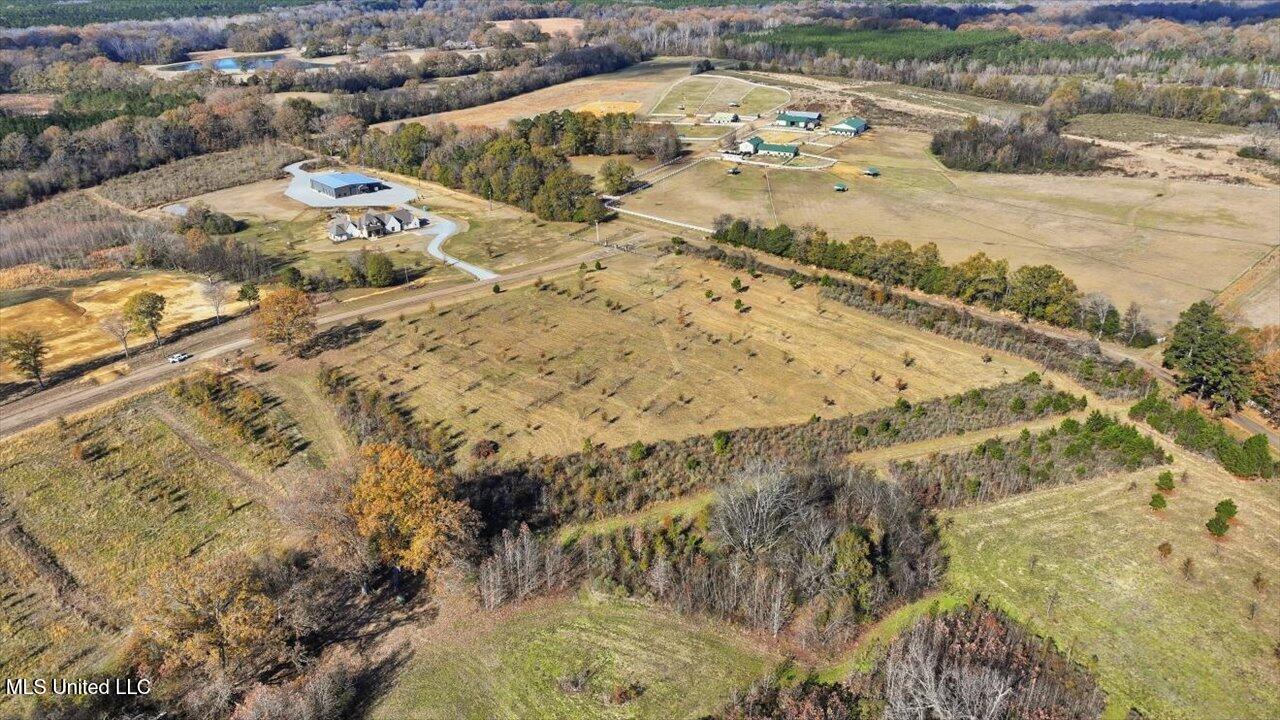 8 Windermere Boulevard Madison, MS 39110 - Photo 6 of 39 05-0008 Windermere Blvd _ Home Tours MS