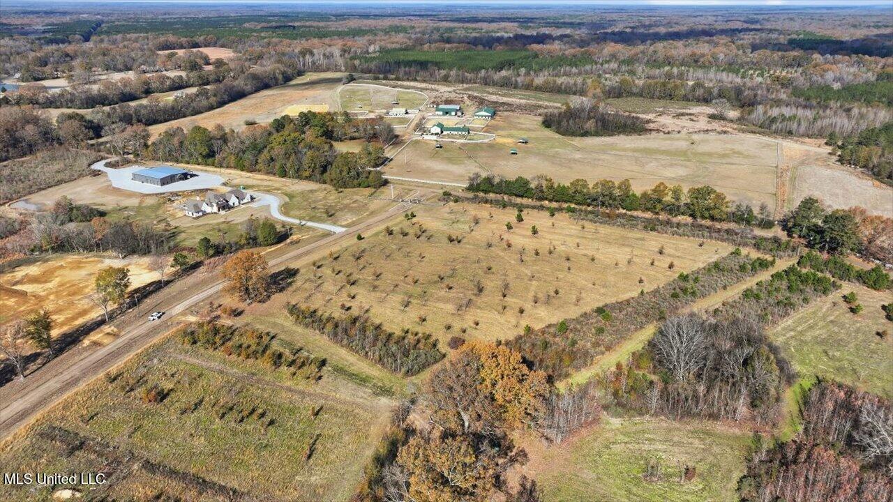 8 Windermere Boulevard Madison, MS 39110 - Photo 7 of 39 06-0008 Windermere Blvd _ Home Tours MS
