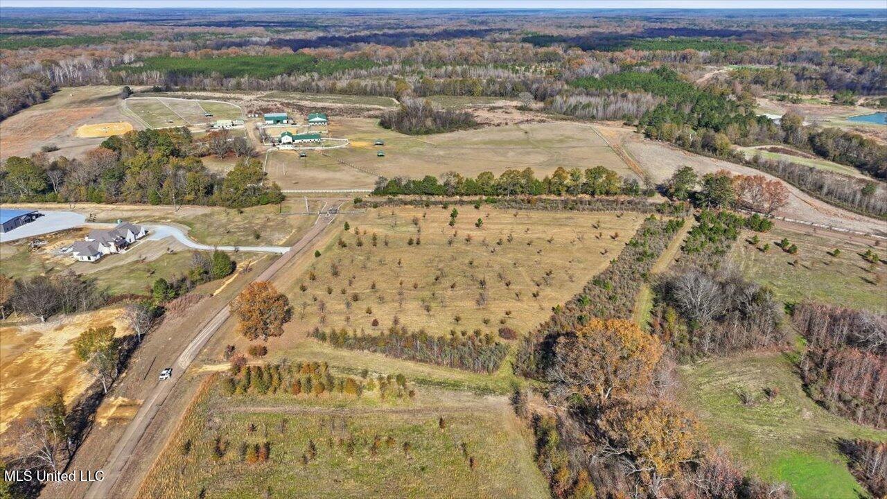 8 Windermere Boulevard Madison, MS 39110 - Photo 8 of 39 07-0008 Windermere Blvd _ Home Tours MS
