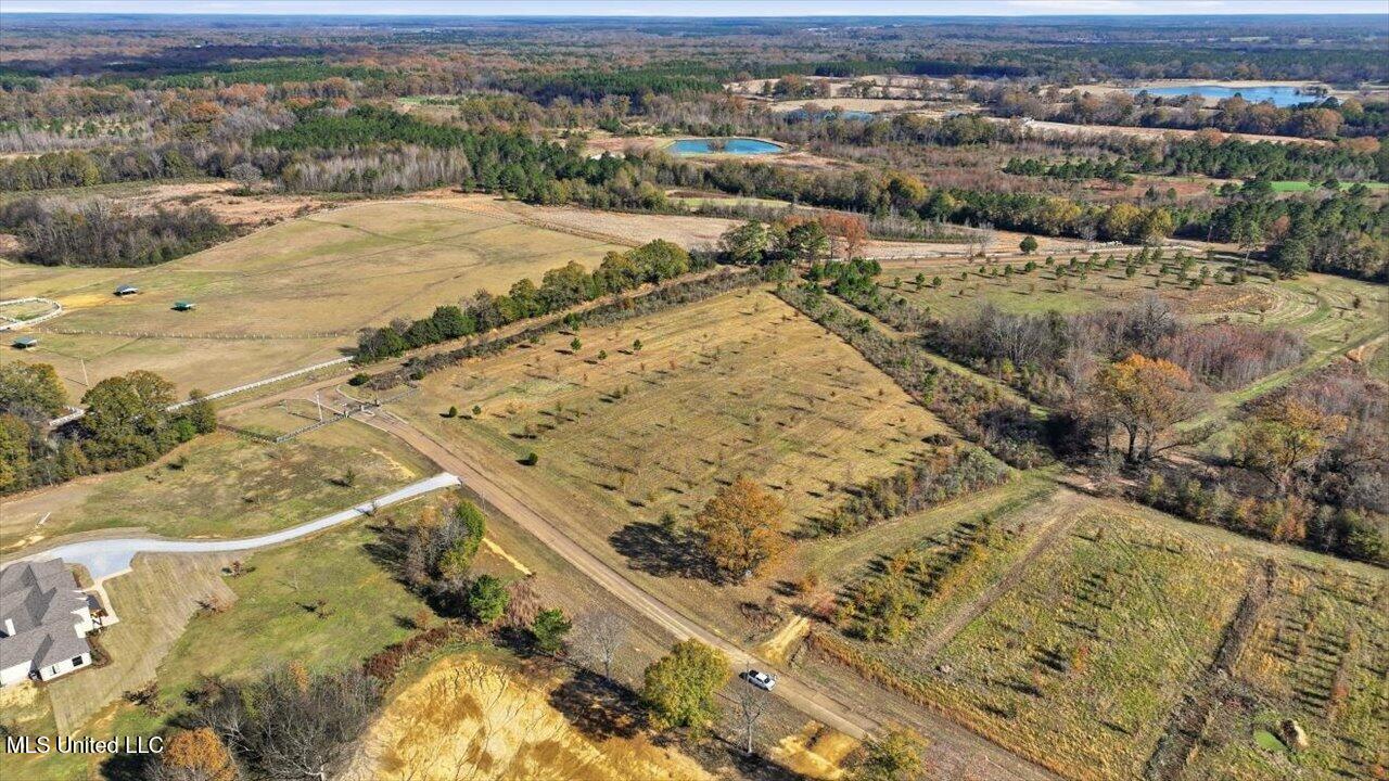 8 Windermere Boulevard Madison, MS 39110 - Photo 9 of 39 08-0008 Windermere Blvd _ Home Tours MS