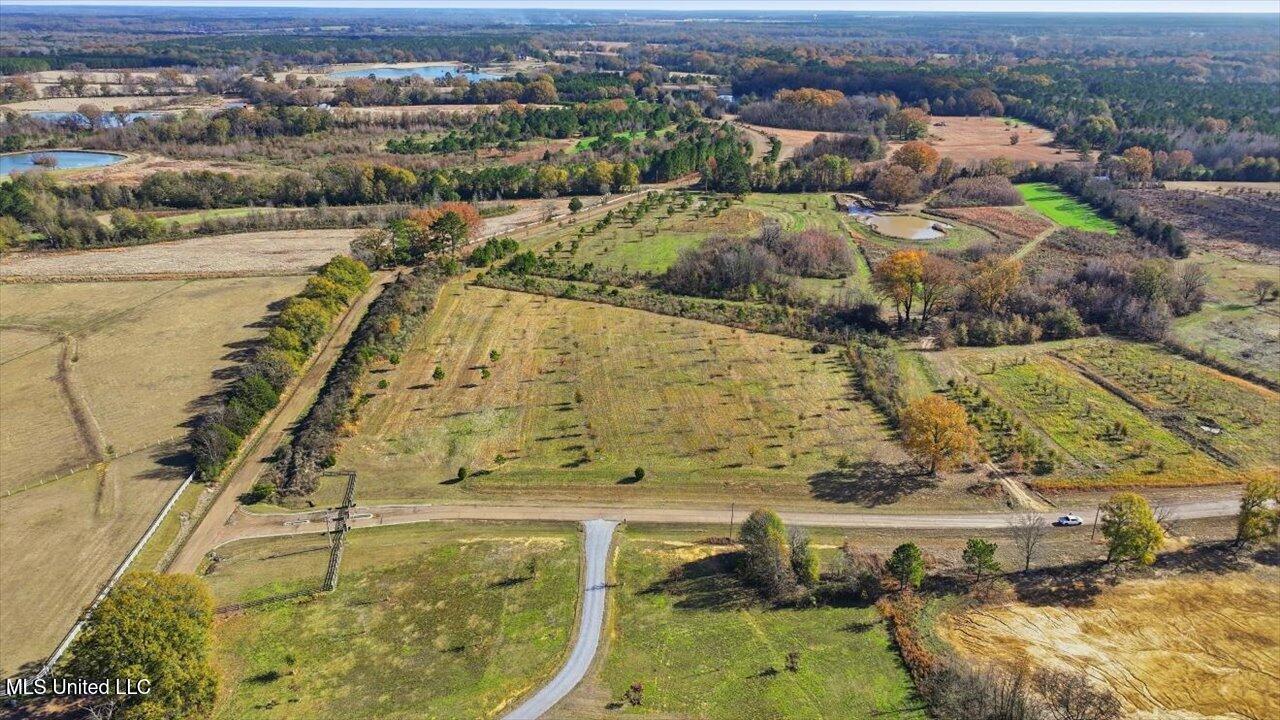 8 Windermere Boulevard Madison, MS 39110 - Photo 10 of 39 09-0008 Windermere Blvd _ Home Tours MS