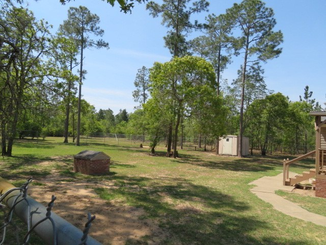 574 Fort Perry Road Box Springs, GA 31801 - Photo 32 of 39 View of backyard